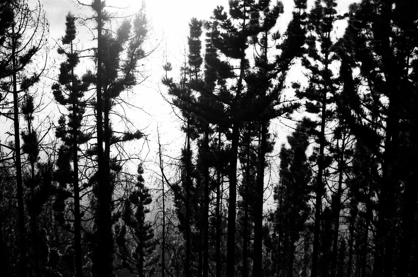 68c72ccd5e297da74ac2587b_IMG-20250914-WA0006