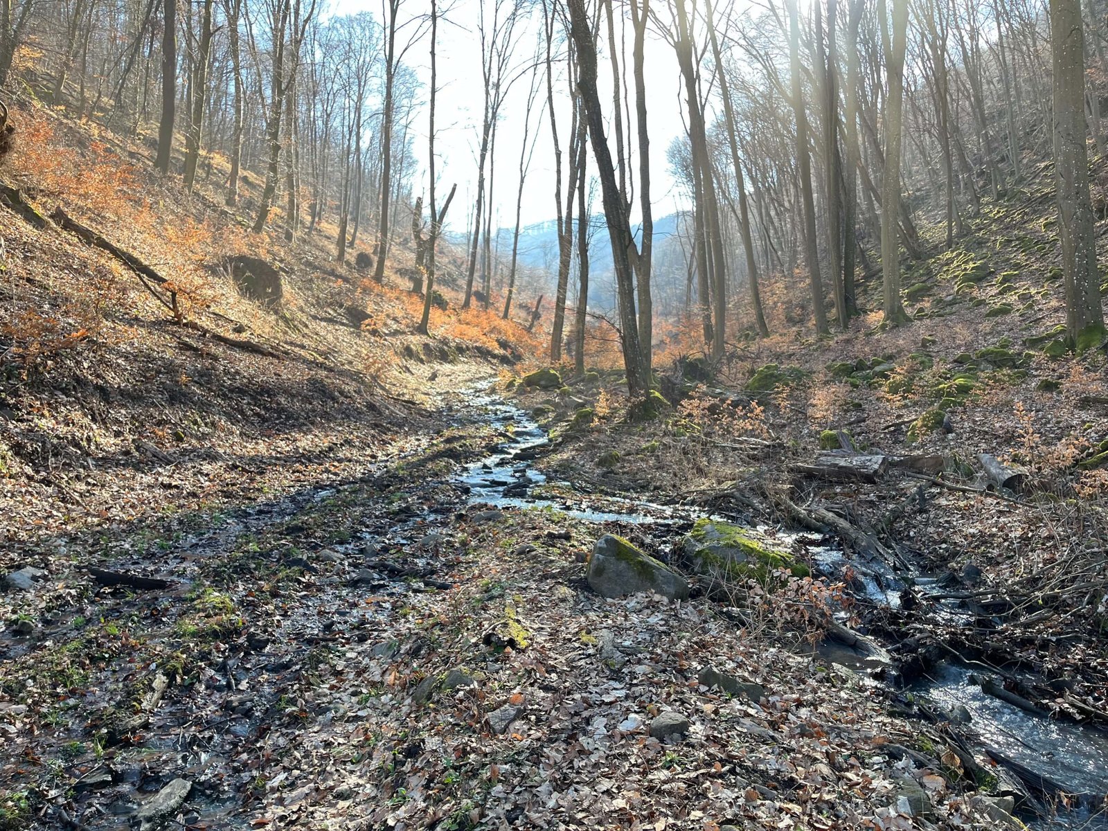 att.YYGWra0ATE0qGWGYSAMr7Gqxe0zX8kNeIfv1-p9DUtA